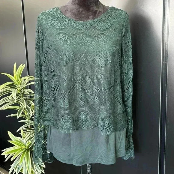 Pointelle Lace Overlay, scoop neck, lined, ruffle wrist top - Picture 1 of 12